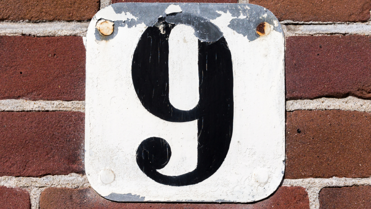 Article images (Aug 2024 ) (4)